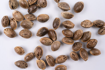 Cannabis Hemp seeds close up macro shot isolated on white background