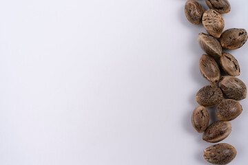 Hemp seeds on white background in a row