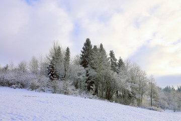evening in winter mountains