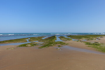 Marée basse à Bidart, sur la Côte Basque, laisse découvrir les rochers avec des algues
