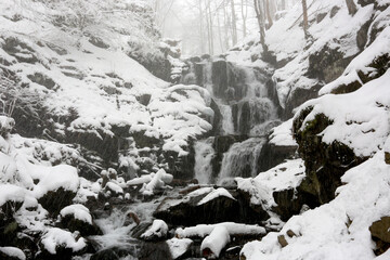 Fototapeta na wymiar snowfall in mountain forest
