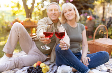 Cheers. Senior spouses clinking glasses with red wine, having picnic and sitting on blanket in garden, selective focus