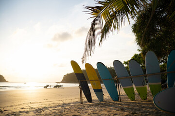 Surfboard and palm tree on beach .colorful sunset sky on summer holidays