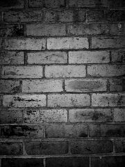 Fototapeta premium old brick wall background