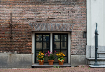 Fototapeta na wymiar old window with flowers 