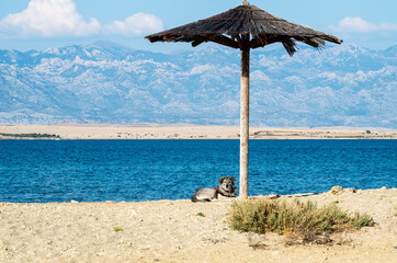 Beach with Umbrella