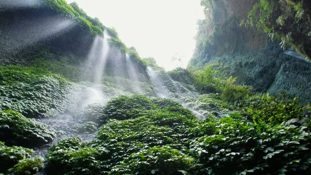 Beautiful Madakaripura waterfall in tropical rainforest in national park at East Java, Indonesia