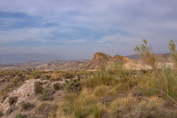 Tabernas Desert National Nature Reserve, also known as the Almeria Desert. Province of Almeria, Andalusia, Spain - 461060816