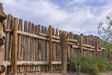 Tall cylindrical cactus and other green plants near a wooden fence in a botanical garden. Desert plants against the blue sky. Nature - 461060833