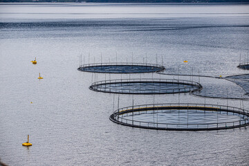 fish farm, Norway