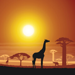 African wildlife illustration. Sunset in Africa with the silhouette of elephant, giraffe, and baobab tree
