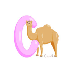 Letter C. Children's alphabet, cute camel. Vector illustration for learning English.