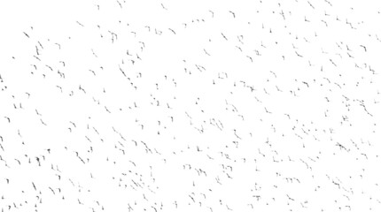 Flock of birds in flight isolated on white, common starling, sturnus vulgaris