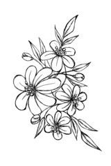 hand drawn sketch black and white leaves flower