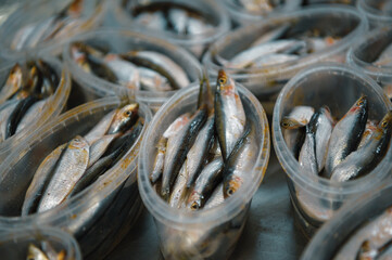 Lots of plastic jars filled with sea sprat. Canned fish.