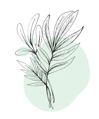 hand drawn sketch black and white leaves flower