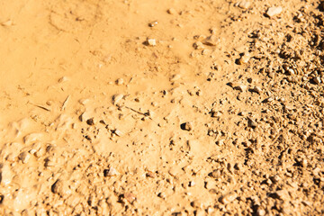 stone wall texture