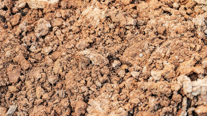 Dried cracked earth soil ground texture background. Environmental disaster. Drought. A close up of cracked mud. The global shortage of water on the planet. Global warming and greenhouse effect concept
