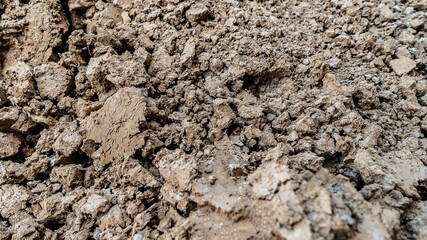 Dried cracked earth soil ground texture background. Environmental disaster. Drought. A close up of cracked mud. The global shortage of water on the planet. Global warming and greenhouse effect concept