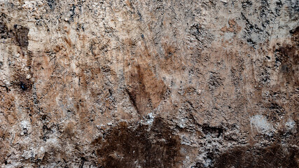 Naklejka premium Texture layers of earth. Cross section of brown underground soil layers beneath. Natural cut of soil with different layers
