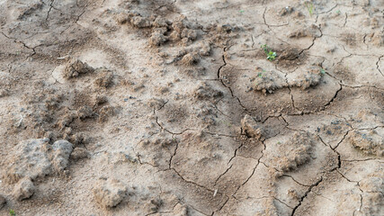 Dried cracked earth soil ground texture background. Environmental disaster. Drought. A close up of cracked mud. The global shortage of water on the planet. Global warming and greenhouse effect concept