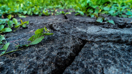 Spills of crude oil on the soil surface. Cracked textured ground. Dried technical waste is...