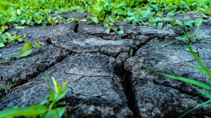 Spills of crude oil on the soil surface. Cracked textured ground. Dried technical waste is overgrown with green grass. Environment pollution. Illustrating global environmental and ecology problem
