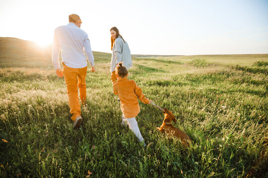 A hipster family walks in a summer field.