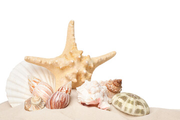 Beautiful starfish and sea shells in sand on white background