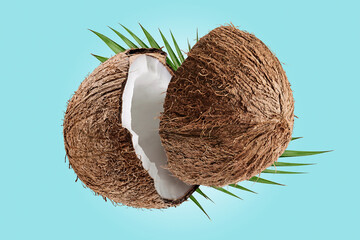 Coconut break with leaves on blue background