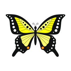 Stylized yellow butterfly isolated icon. Vector illustration.