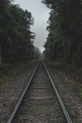 railway in the forest