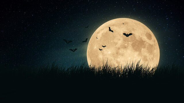 Big scary moon with bats in a field of grass at night. Halloween wallpaper