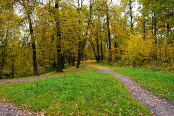 Naklejka premium autumn in the park