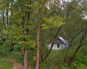 A house among a small grove.