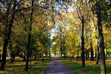 autumn in the park