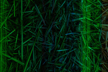 Abgeerntetes Weizenfeld in grün blau Verlauf eingefärbt