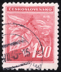 Postage stamps of the Czechoslovakia. Stamp printed in the Czechoslovakia. Stamp printed by Czechoslovakia.