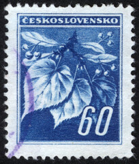 Postage stamps of the Czechoslovakia. Stamp printed in the Czechoslovakia. Stamp printed by Czechoslovakia.