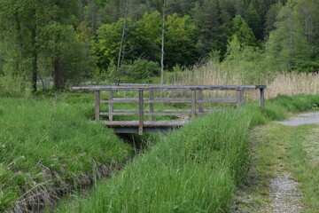 Priesendorf - Bayern - Deutschland - Br&uuml;cke im Gr&uuml;nen