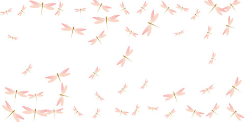 Fairy rosy pink dragonfly isolated vector background. Spring vivid insects. Detailed dragonfly isolated dreamy illustration. Sensitive wings damselflies patten. Nature creatures