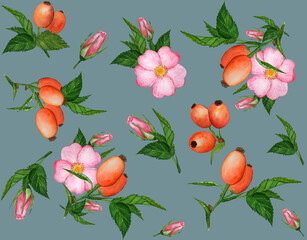 Rosehip, rosehip berries, flowers and buds. Seamless background, watercolor illustration