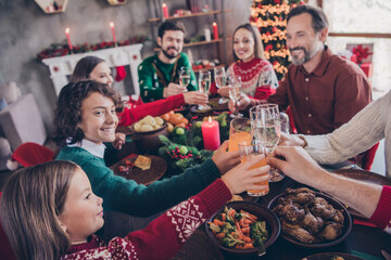 Photo of small preteen school wife husband retired pensioner married people xmas dinner table cheers indoors inside home