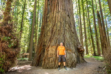 A man in front of a majestic Redwood tree in the Redwood National Park, California