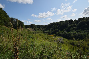 Liether Kalkgrube - Schleswig-Holstein - Deutschland - Gr&uuml;ne Sommerlandschaft