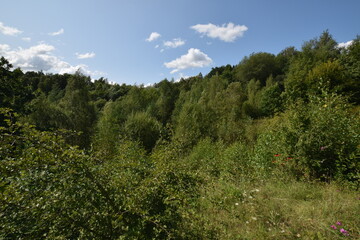 Liether Kalkgrube - Schleswig-Holstein - Deutschland - Grüne Sommerlandschaft