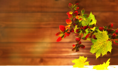  Banner colorful leaves in fall season. Autumn background with yellow and red leaves with bokeh.