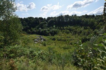 Liether Kalkgrube - Schleswig-Holstein - Deutschland - Gr&uuml;ne Sommerlandschaft