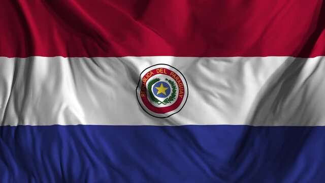 Paraguay national flag footage. Paraguayan waving country flag on wind