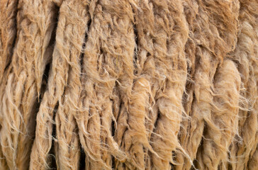 Beautiful natural brown fur pictures.